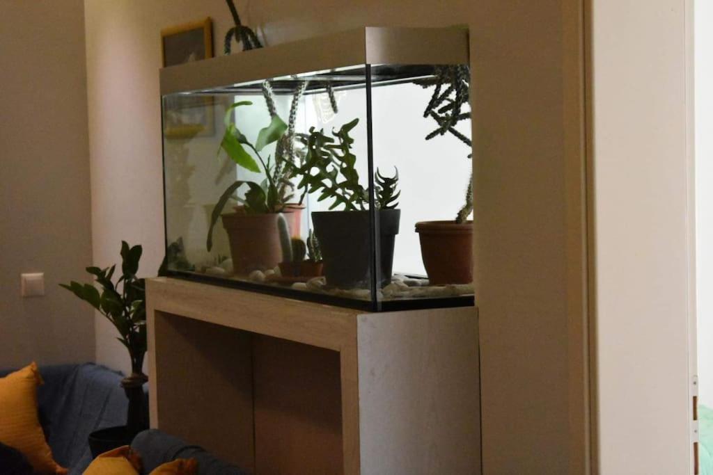 Central Apartment Athens Ngoại thất bức ảnh